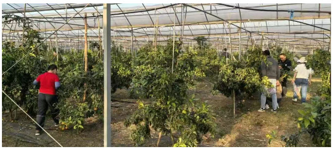 1763950017780593.png image.png